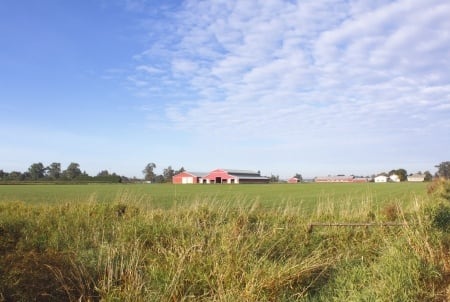 Aldergrove Aldergrove