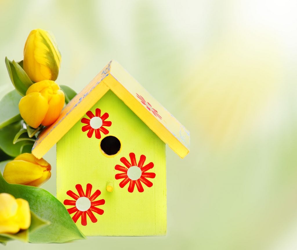 Want To Sell This Spring?